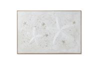 art wall with sea shell